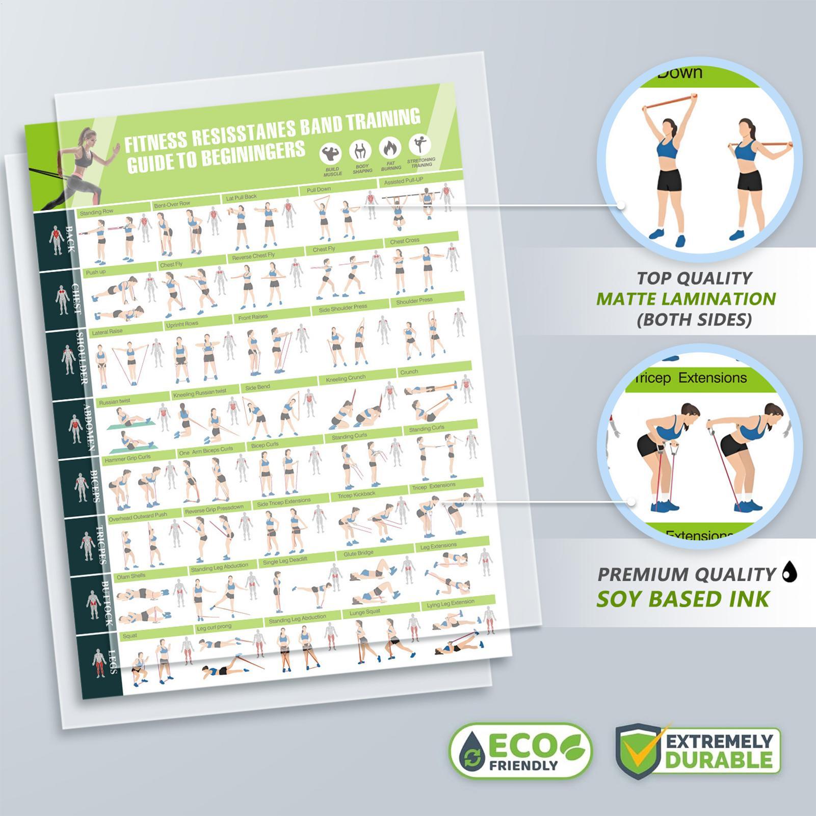Workout Posters with Resistanc - đánh giá và giá Sports Equipment Poster