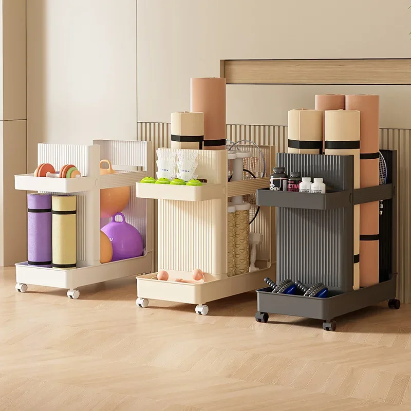 Stable Household sports equipm - đánh giá và giá Sports Equipment Cart