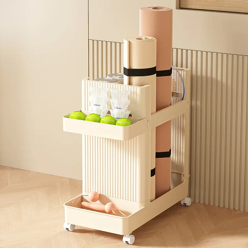 Stable Household sports equipm - đánh giá và giá Sports Equipment Cart